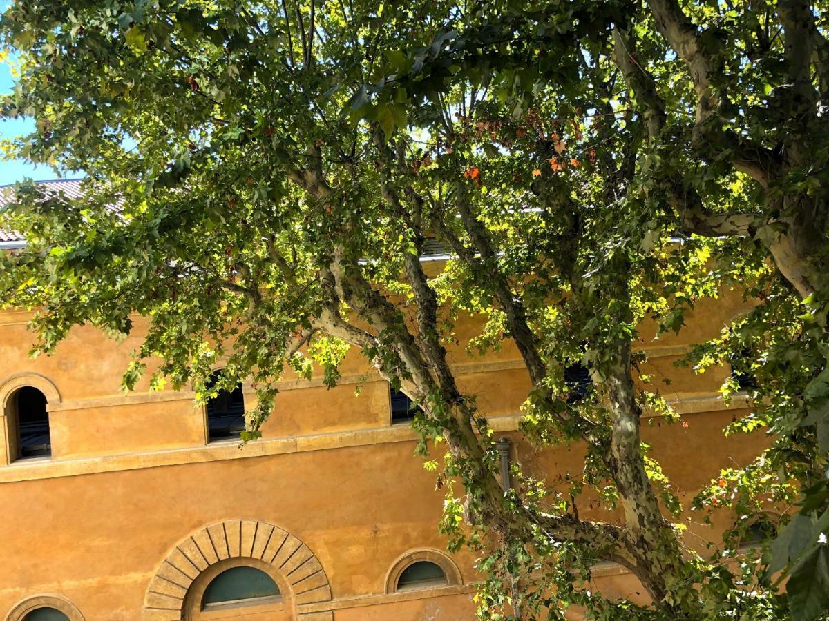 דירות אקס-אן-פרובאנס Beau 3 Pieces 83 M2 Au Coeur Du Centre Historique D'Aix En Provence מראה חיצוני תמונה